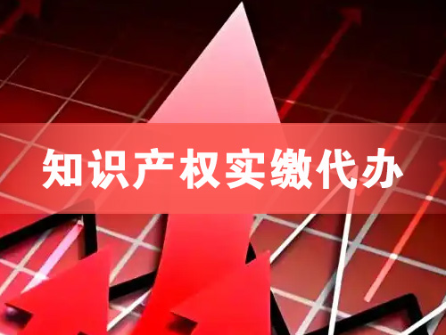 鹤山知识产权实缴资本代办